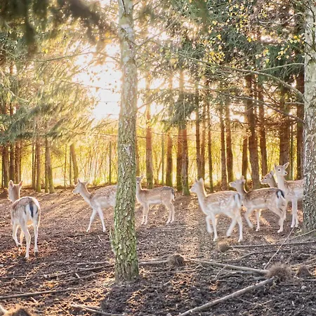 Przystan Nad Zatoka - * Lubieszewo (Drawsko)