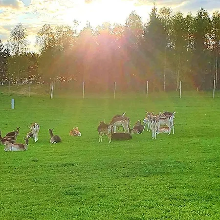 Przystań Nad Zatoką - *