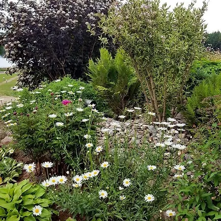 Przystan Nad Zatoka - Alloggio per agriturismo *