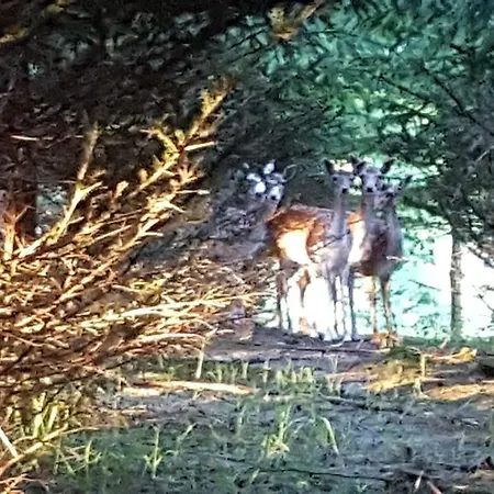 Przystan Nad Zatoka - Farmház *