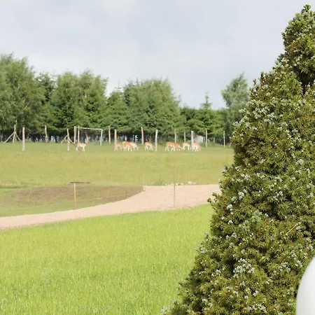 Przystań Nad Zatoką - Gospodarstwo agroturystyczne